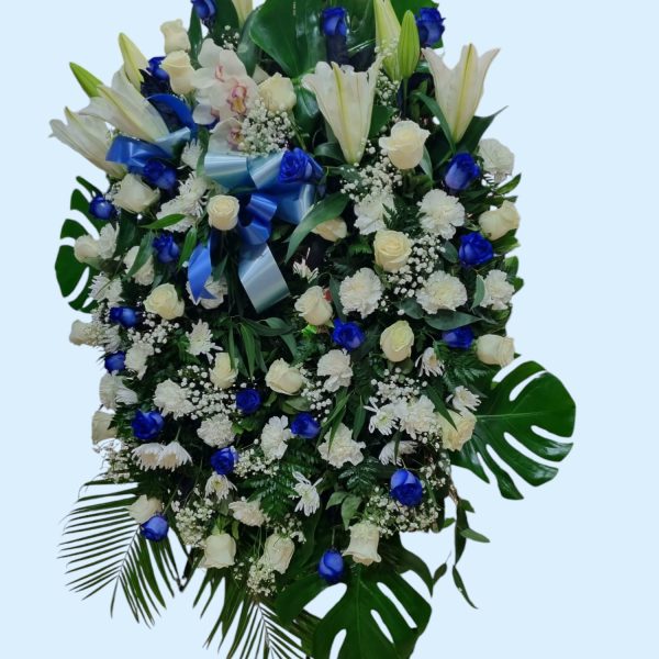 Corona azul y blanca