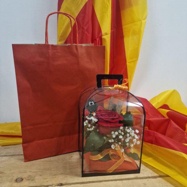 Rosa Premium Sant Jordi en caja con espiga y bolsa de regalo roja